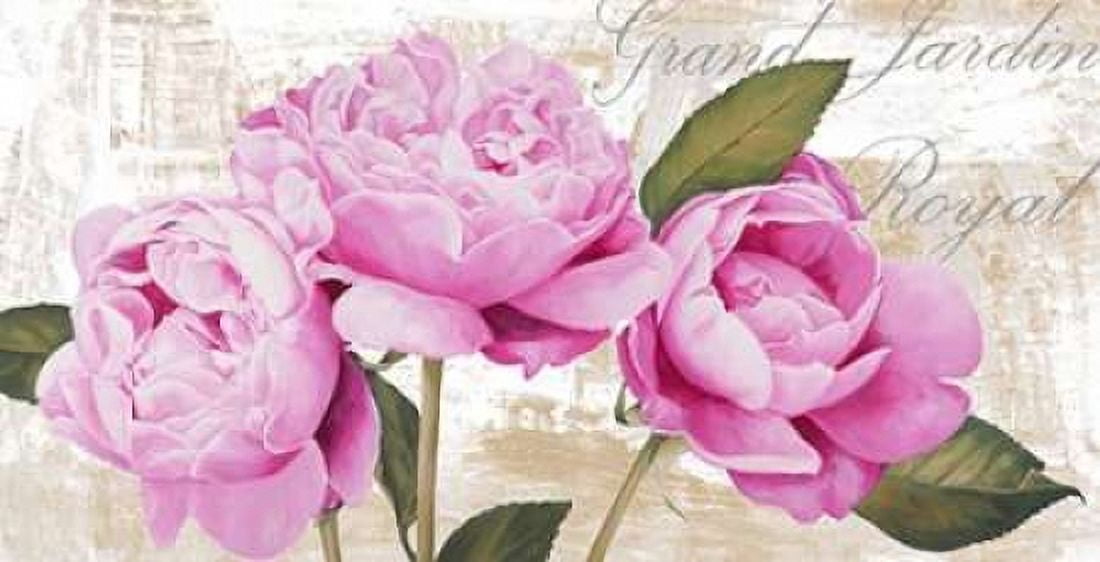 Posterazzi Grand Jardin Royal Canvas Art - Jenny Thomlinson (24 x 48)