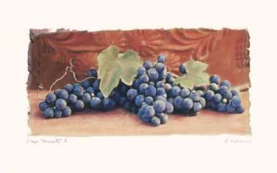 Posterazzi Grape Harvest I Canvas Art - Amy Melious (24 x 36)
