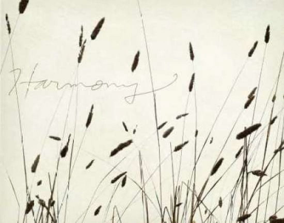 Posterazzi Grass Harmony Canvas Art - Amy Melious (22 x 28)