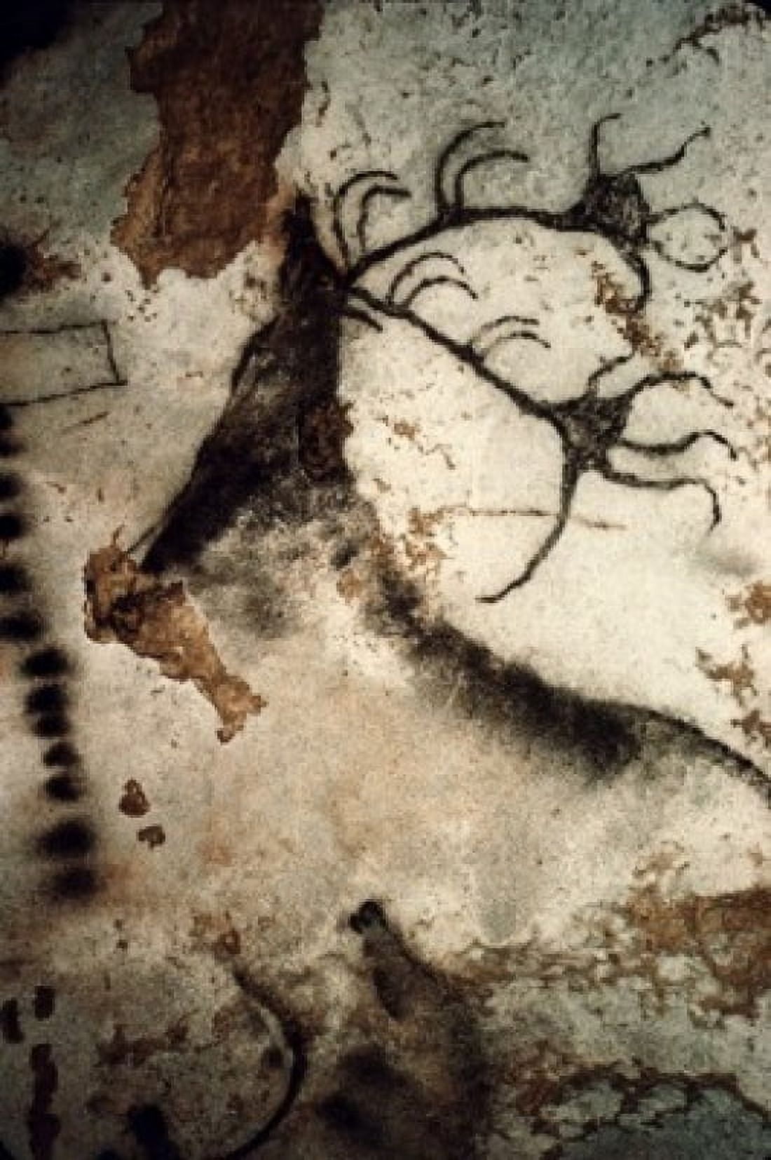 Posterazzi Great Stag Prehistoric Art Lascaux Caves France Canvas Art -  (24 x 36)