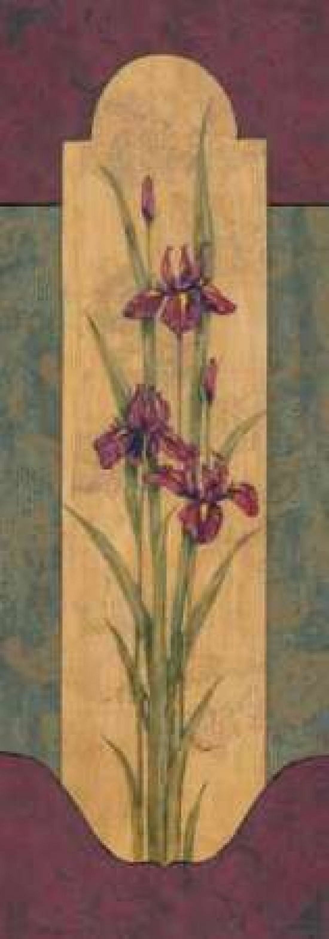 Posterazzi Greek Iris I Canvas Art - Paul Brent (24 x 48)