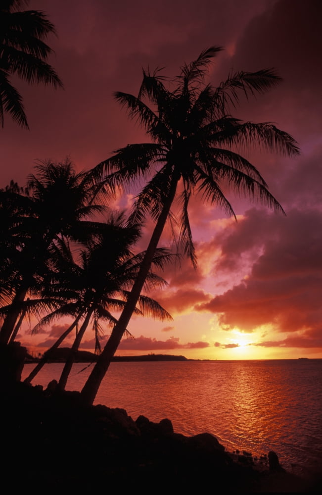 Posterazzi Guam Tumon Bay Bright Red Sunset And Silhouetted Palms On Beach Canvas Art - Bill Bachmann Design Pics (22 x 34)
