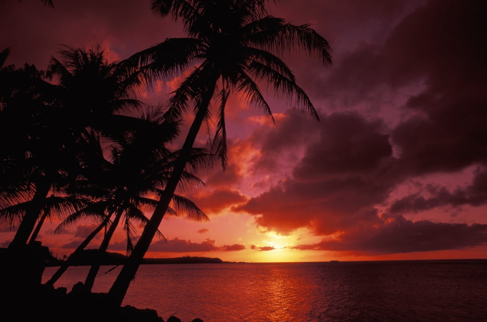Posterazzi Guam Tumon Bay Bright Red Sunset And Silhouetted Palms On Beach Canvas Art - Bill Bachmann Design Pics (34 x 22)