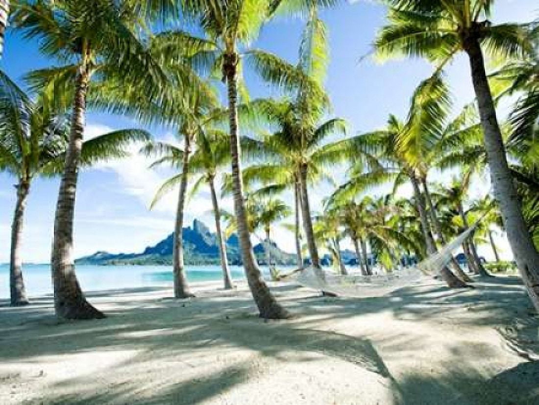 Posterazzi Hammock at Bora Bora Tahiti Canvas Art - Anonymous (22 x 28)