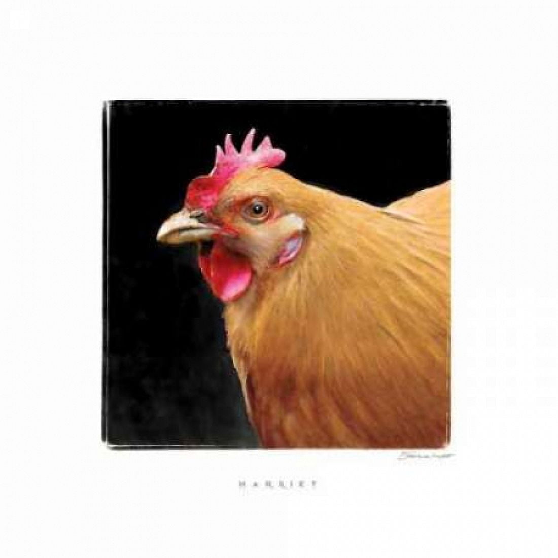 Posterazzi Harriet Canvas Art - Stephanie Marrott (24 x 24)