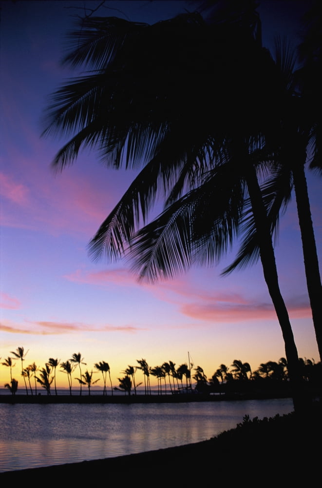 Posterazzi Hawaii Big Island Kohala Coast Anaehoomalu Bay With Fishpond Foreground Palms At Sunset Colorful Tropical Scene Pink Clouds Golden Sky Canvas Art - Peter French Design Pics (24 x 38)