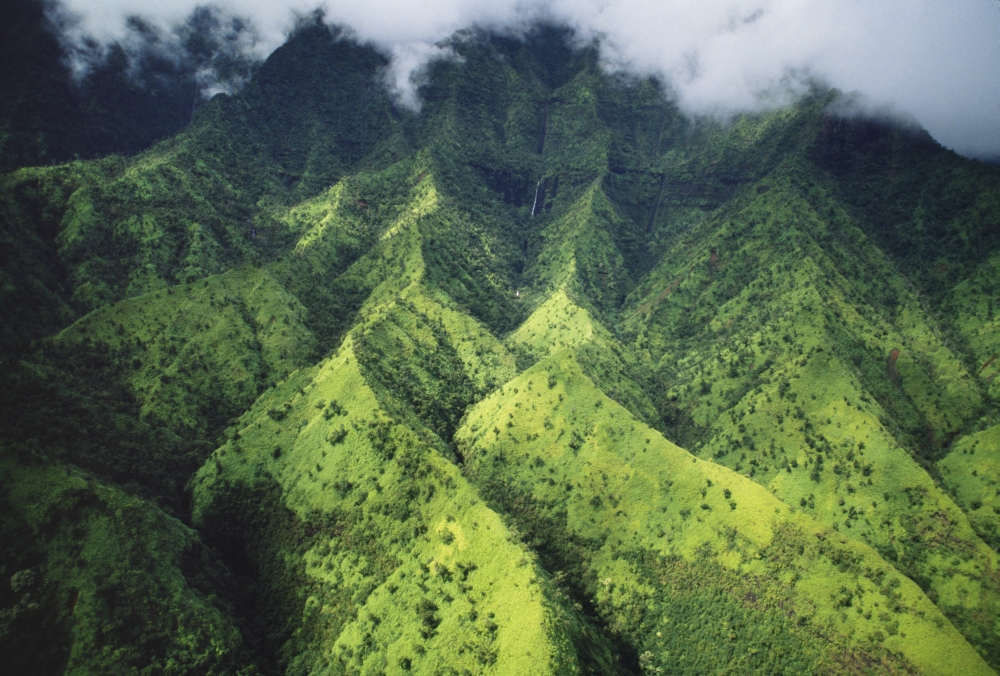 Posterazzi Hawaii Kauai Makalena Mountains Lush Aerial View Of Mountain Ridges Canvas Art - Chris Abraham Design Pics (38 x 24)