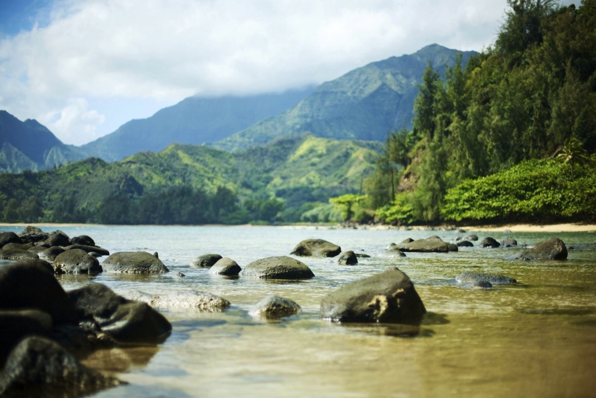Posterazzi Hawaii Kauai Waikoko Ocean Shoreline And Mountains In Distance Canvas Art - Kicka Witte Design Pics (34 x 22)