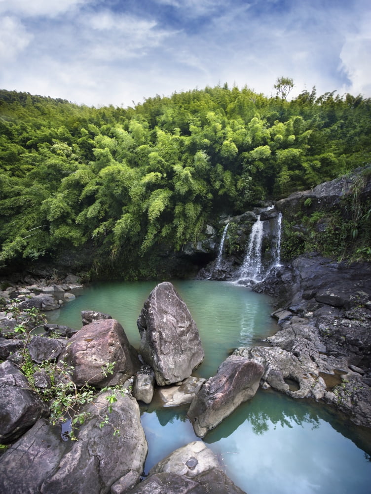 Posterazzi Hawaii Maui Bamboo Forest Also Called The Four Falls Of Nailiili-Haele Shot Of The First Falls Canvas Art - M Swiet Productions Design Pics (24 x 32)