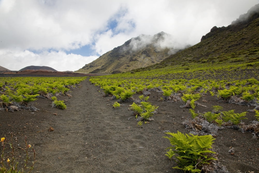 Posterazzi Hawaii Maui Haleakala The hiking trail through the Volcanic Crater Canvas Art - Jenna Szerlag Design Pics (38 x 24)