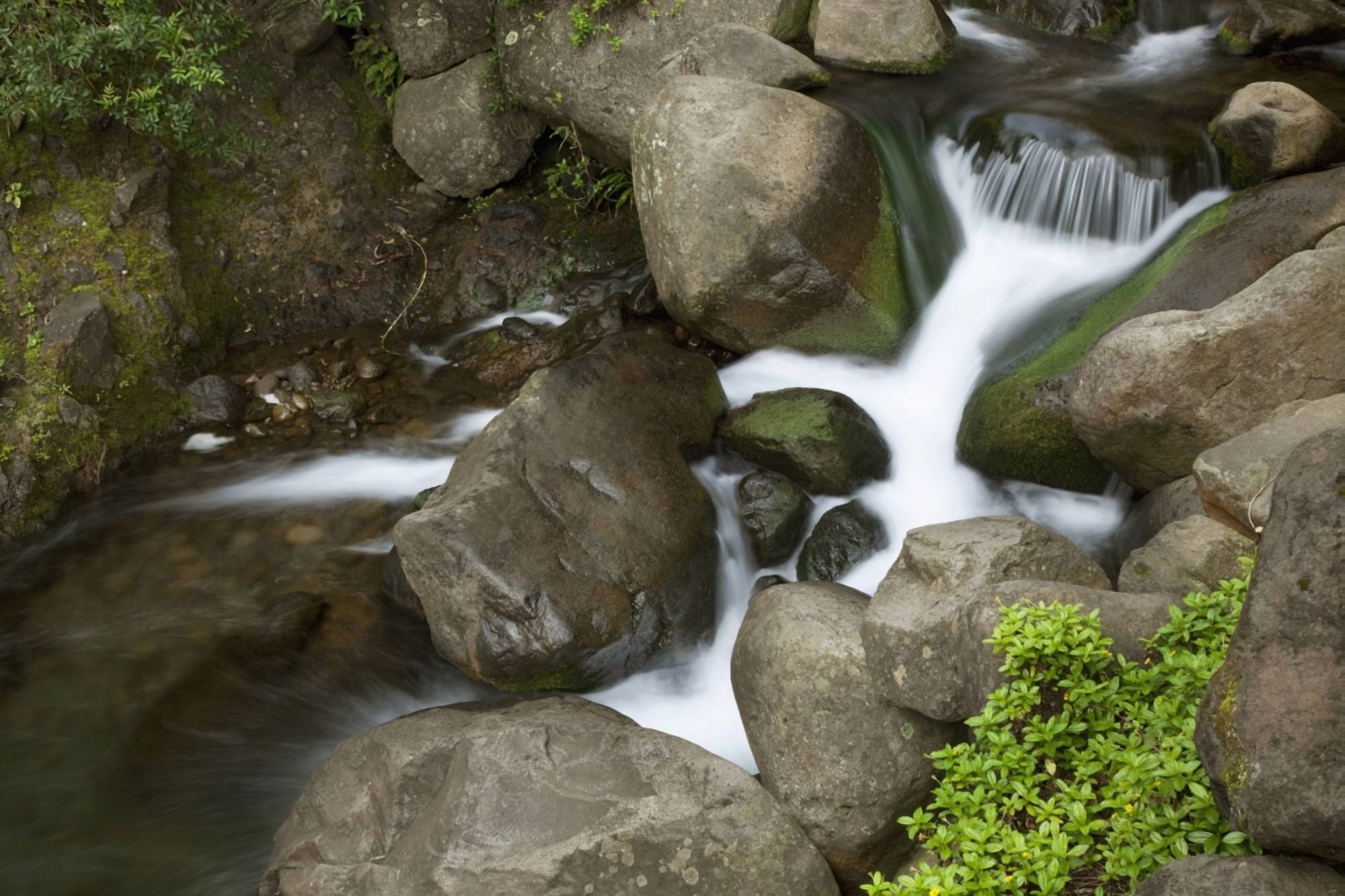 Posterazzi Hawaii Maui Iao River Valley waterfall Canvas Art - Jenna Szerlag Design Pics (38 x 24)