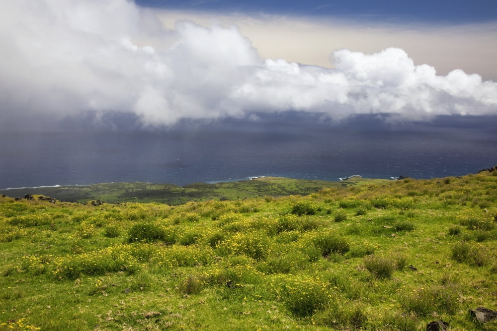 Posterazzi Hawaii Maui Kaupo Lush fields with view of the ocean and bright blue sky with clouds Canvas Art - Jenna Szerlag Design Pics (36 x 24)