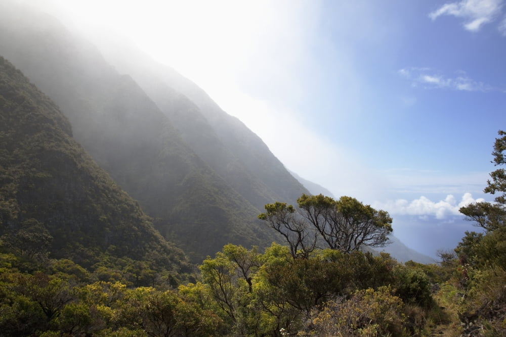 Posterazzi Hawaii Maui Lush foliage in Kaupo Gap Canvas Art - Jenna Szerlag  Design Pics (38 x 24)