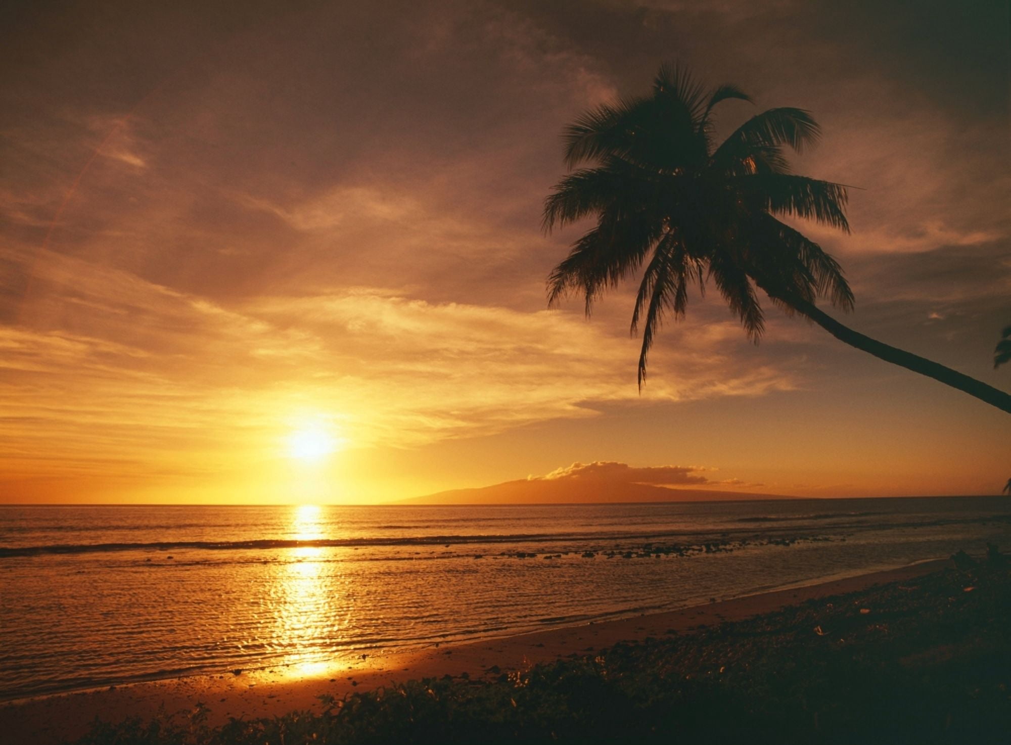 Posterazzi Hawaii Maui Olowalu Palm Tree Silhouette At Sunset Lanai In The Distance Canvas Art - Ron Dahlquist Design Pics (36 x 26)