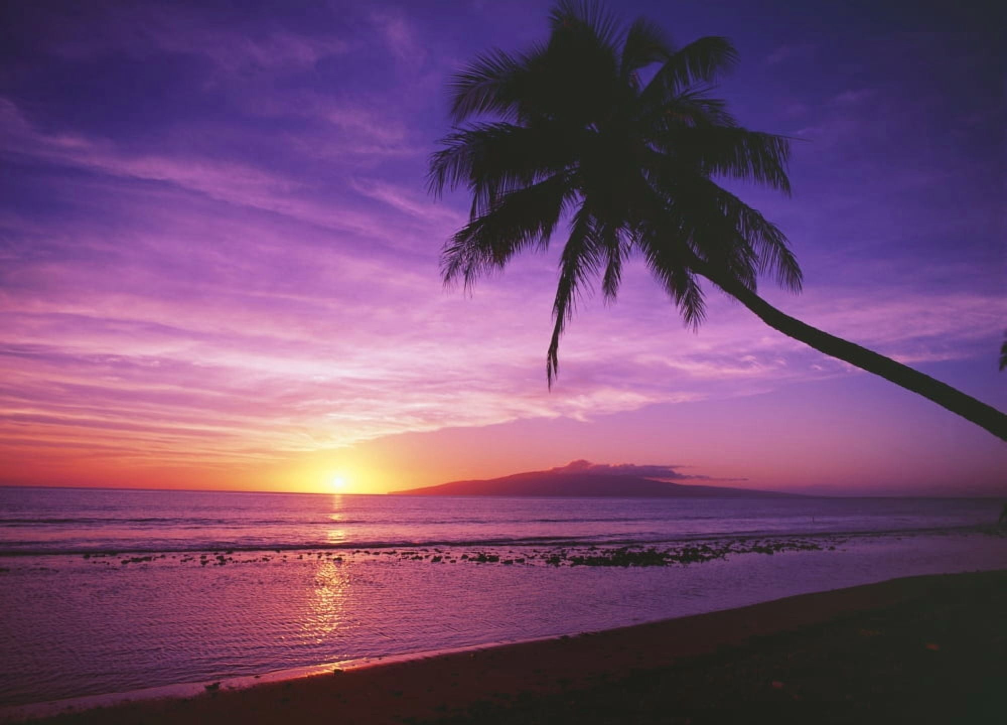 Posterazzi Hawaii Maui Olowalu Palm Tree Silhouette At Sunset Lanai In The Distance Canvas Art - Ron Dahlquist  Design Pics (36 x 26)