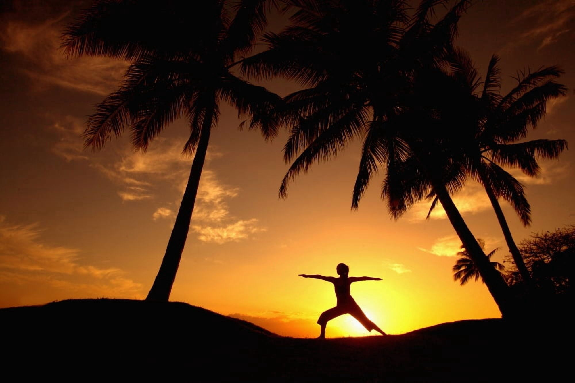 Posterazzi Hawaii Maui Olowalu Woman Doing Yoga At Sunset Under Palm Tree Canvas Art - Ron Dahlquist Design Pics (34 x 22)