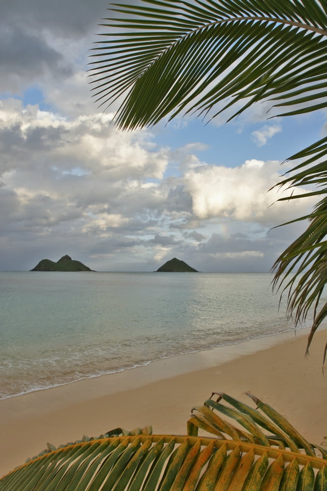 Posterazzi Hawaii Oahu Lanikai Late Afternoon View Of The Mokulua Islands Framed With Palm Fronds Canvas Art - Tomas del Amo Design Pics (24 x 36)
