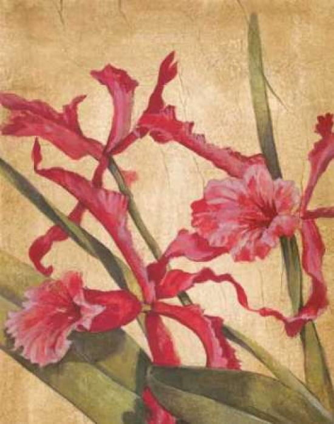 Posterazzi Hawaiian Tropics I Canvas Art - Liz Jardine (22 x 28)