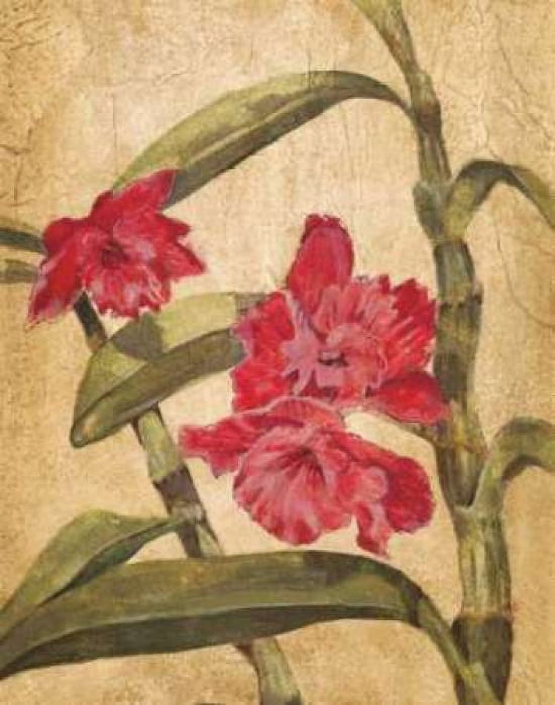Posterazzi Hawaiian Tropics III Canvas Art - Liz Jardine (22 x 28)