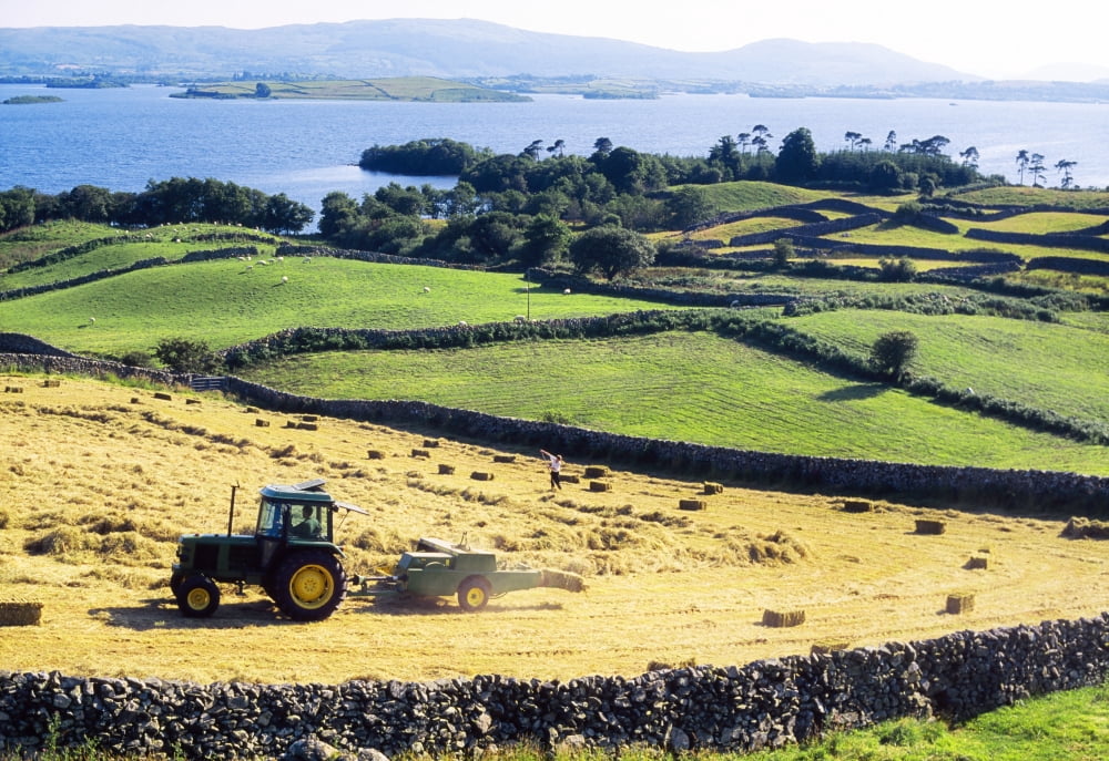 Posterazzi Hay Making Lough Corrib Co Galway Ireland Canvas Art - The Irish Image Collection Design Pics (36 x 24)