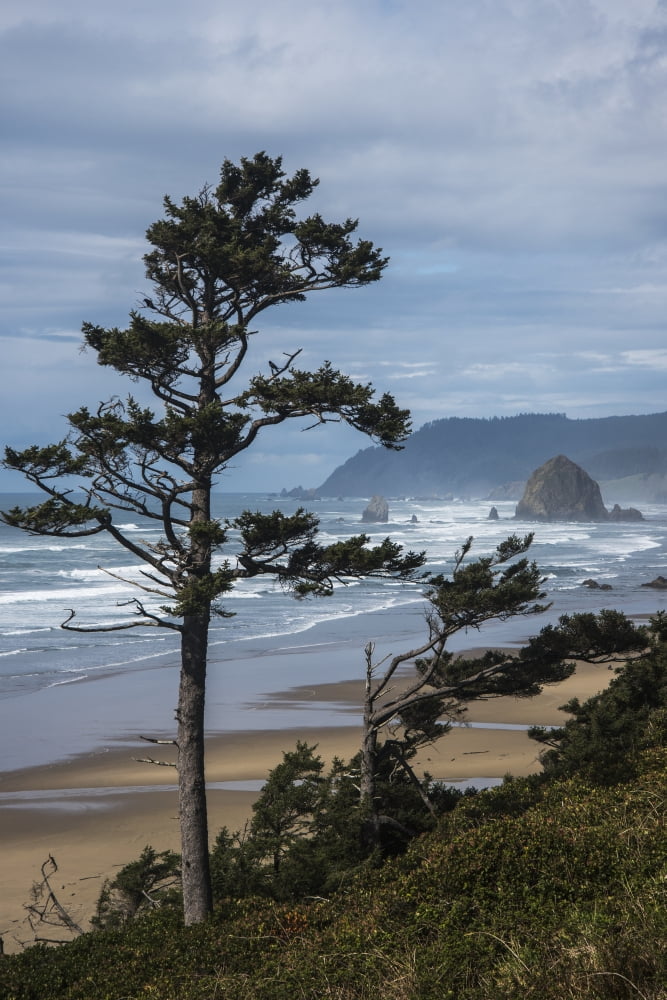 Posterazzi Haystack Rock and Tillamook Head coastal landmarks Tolovana Oregon United States of America Canvas Art - Robert L Potts Design Pics (24 x 38)