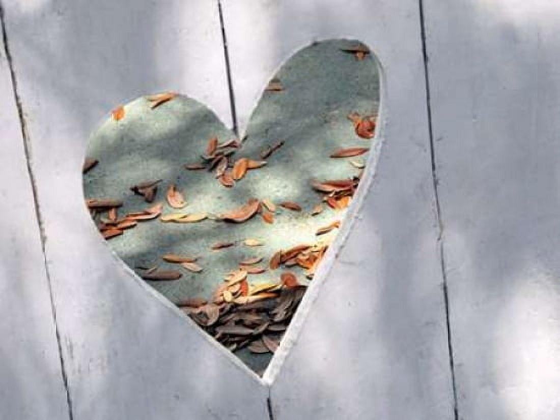 Posterazzi Heart Full of Love Canvas Art - Gail Peck (22 x 28)