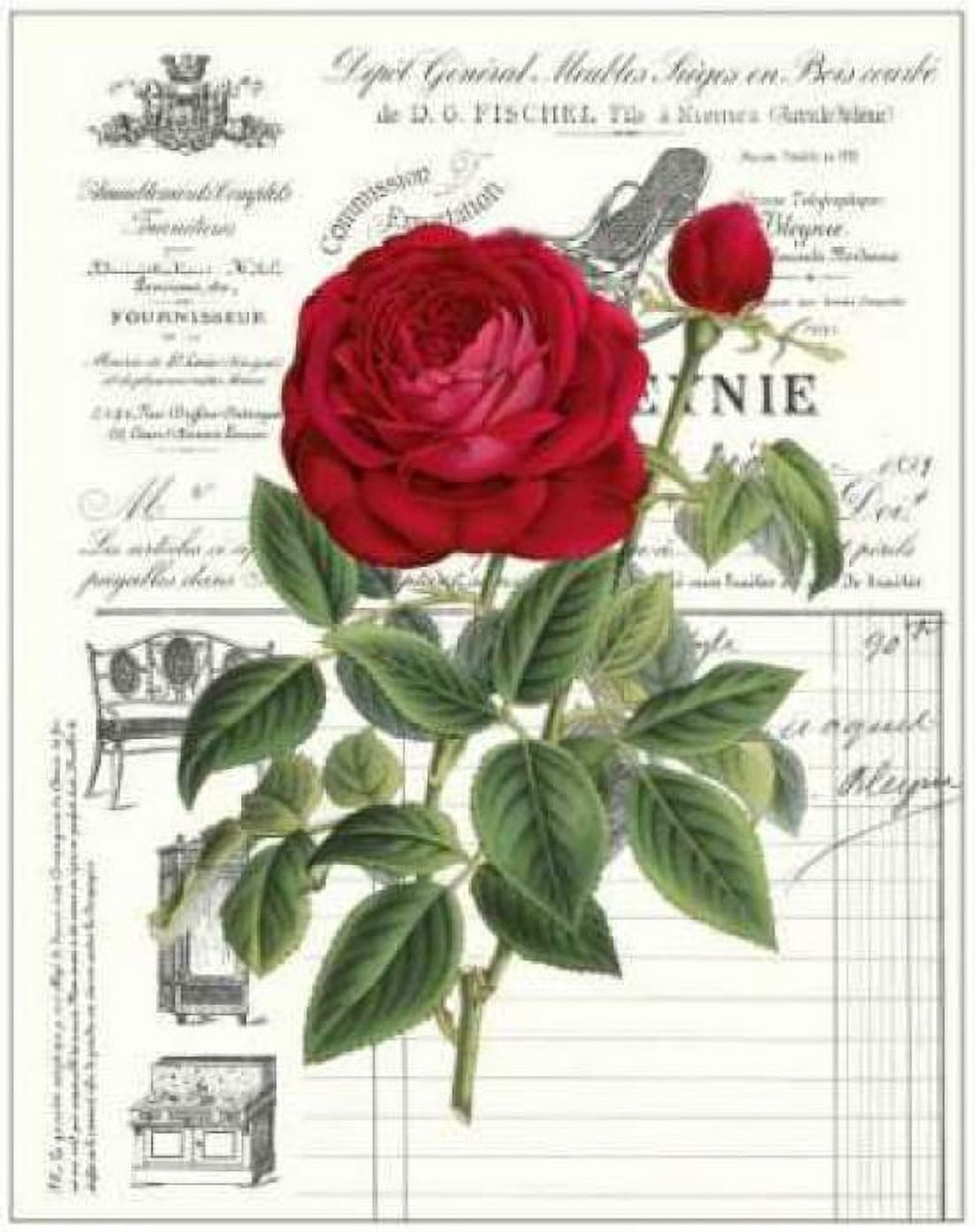 Posterazzi Heirloom Roses B Canvas Art - Sarah E Chilton (18 x 24)