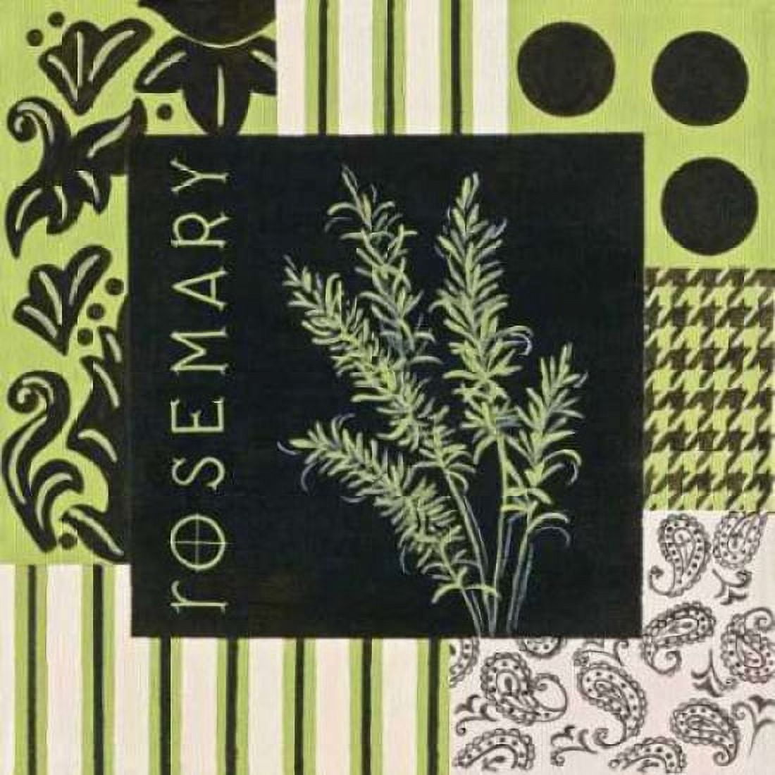 Posterazzi Herbal Zest I Canvas Art - Hanna Peyton (24 x 24)