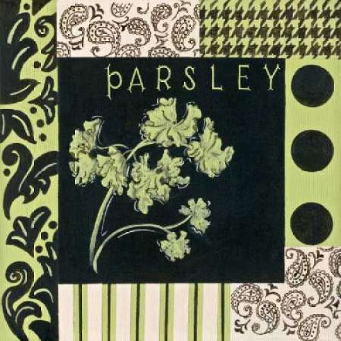 Posterazzi Herbal Zest II Canvas Art - Hanna Peyton (24 x 24)