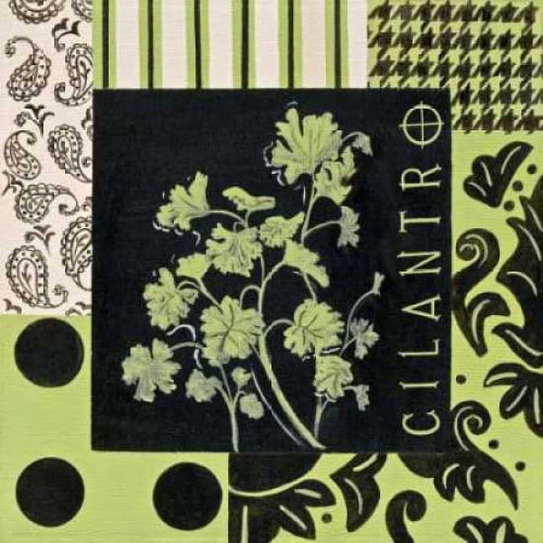 Posterazzi Herbal Zest IV Canvas Art - Hanna Peyton (24 x 24)