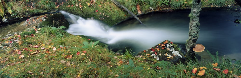 Posterazzi High Angle View Of A River In A Forest Republic Of Ireland Canvas Art - The Irish Image Collection Design Pics (44 x 14)