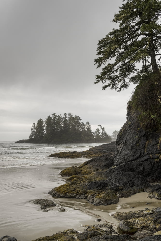 Posterazzi High tide along the coast on Vancouver Island British Columbia Canada Canvas Art - Keith Levit Design Pics (24 x 36)