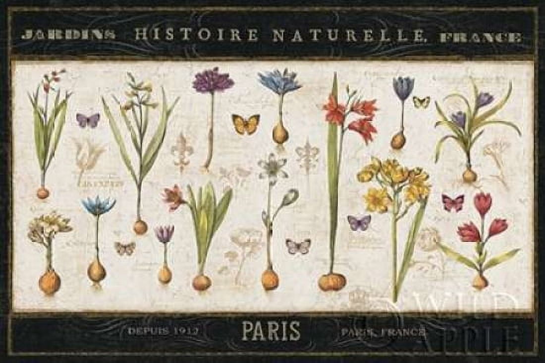Posterazzi Histoire Naturelle I Canvas Art - Pela ERR (24 x 36)