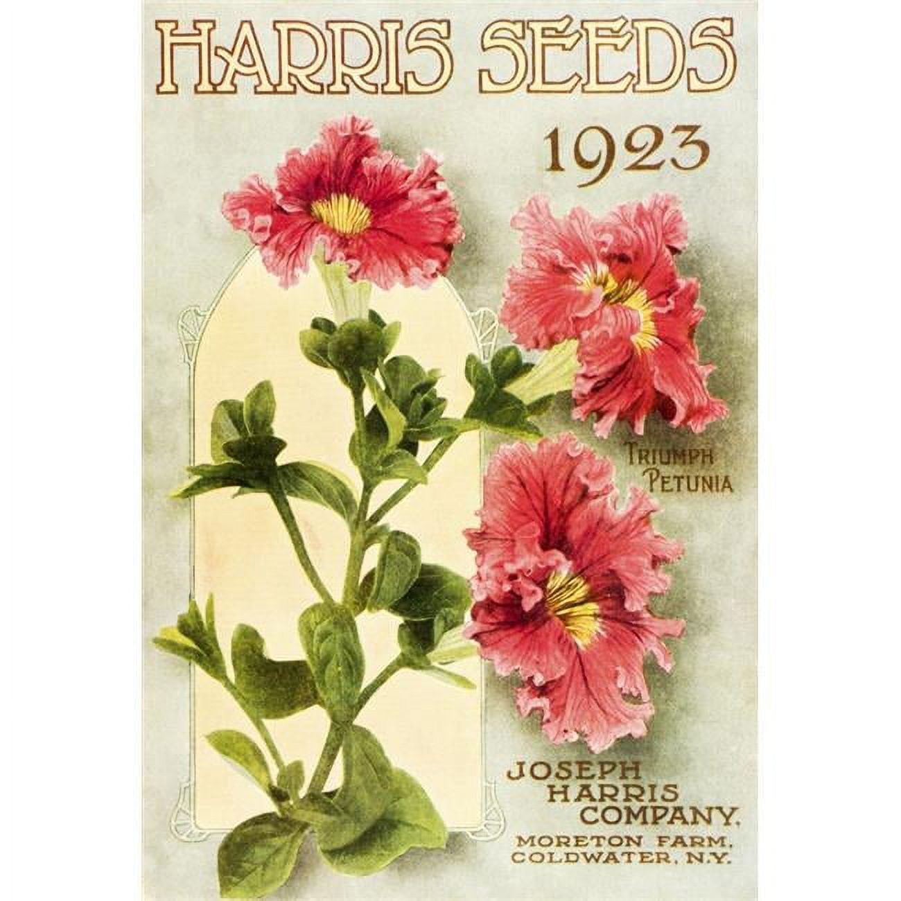Posterazzi Historic Harris Seeds Catalog with Illustration of Triumph