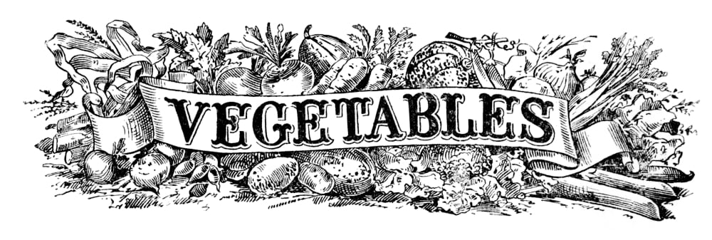Posterazzi Historic illustration of vegetables with graphic banner from the 20th century Canvas Art - Remsberg Inc  Design Pics (36 x 14)