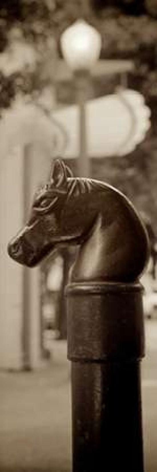 Posterazzi Hitching Post Pano - 1 Canvas Art - Alan Blaustein (8 x 24)