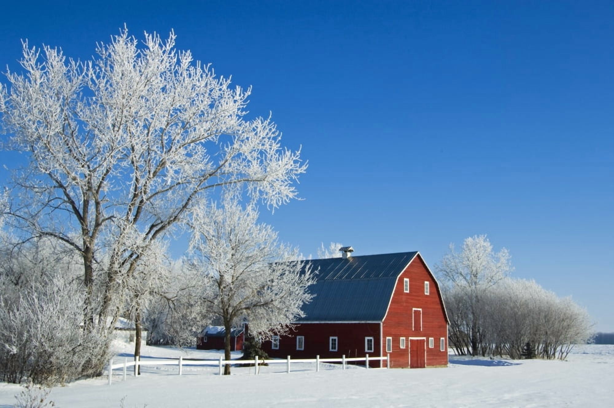 Posterazzi Hoarfrost And Red Barn Grande Pointe Manitoba Canvas Art - Mike Grandmaison Design Pics (34 x 22)