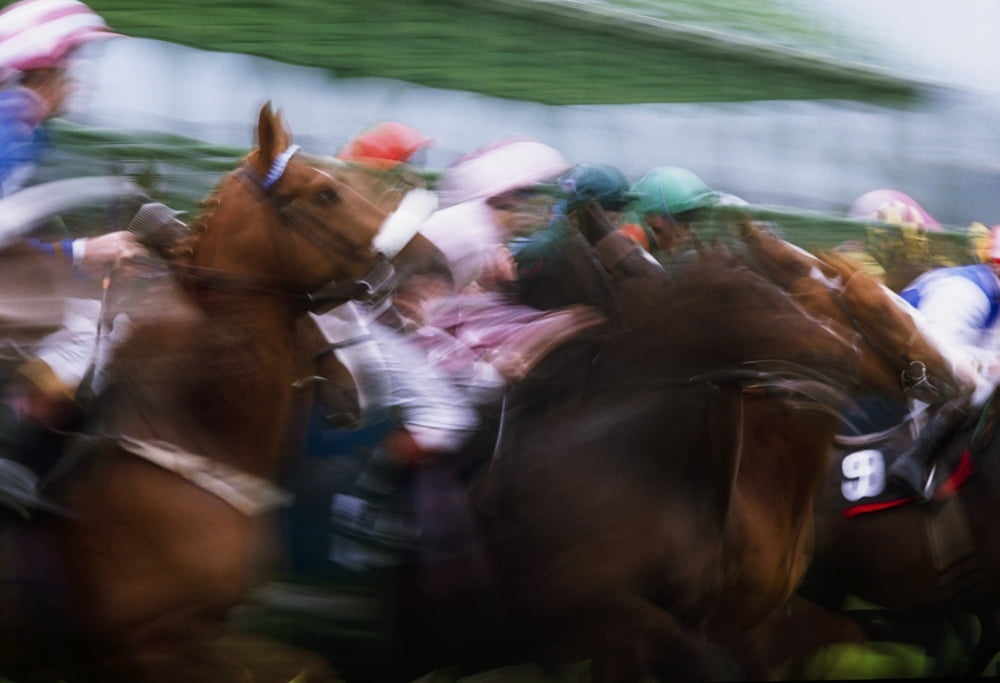 Posterazzi Horse Racing Horses Breaking From The Stalls Canvas Art - The Irish Image Collection Design Pics (36 x 24)