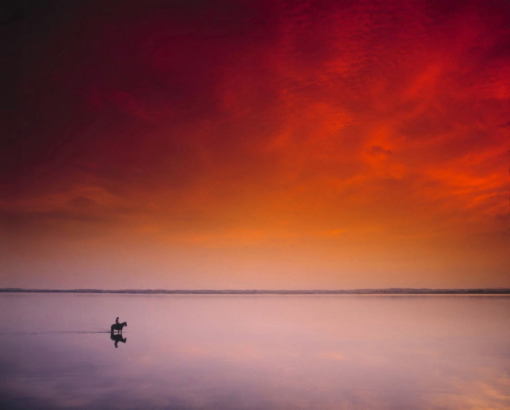 Posterazzi Horse Riding Strangford Lough County Down Ireland Canvas Art - The Irish Image Collection Design Pics (32 x 24)