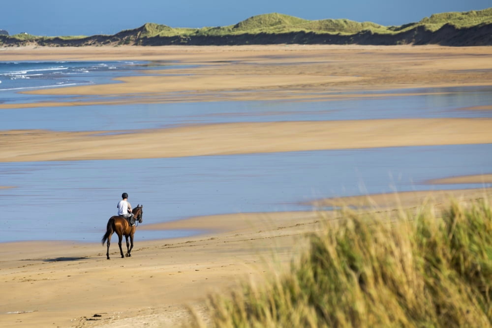 Posterazzi Horse and rider on beach with grassy sand dunes and blue sky Count Clare Ireland Canvas Art - Michael Interisano Design Pics (38 x 24)