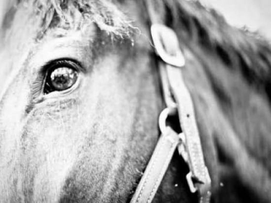Posterazzi Horseback Riding I Canvas Art - Susan Bryant (22 x 28)