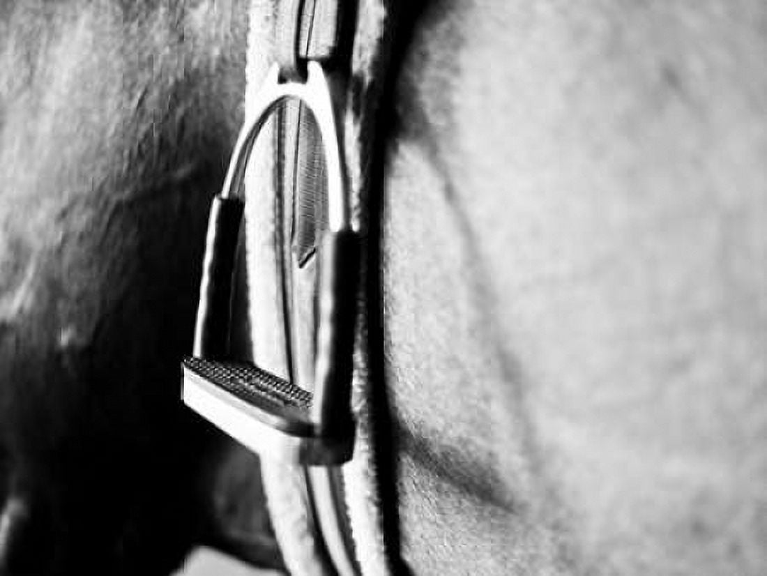 Posterazzi Horseback Riding II Canvas Art - Susan Bryant (22 x 28)
