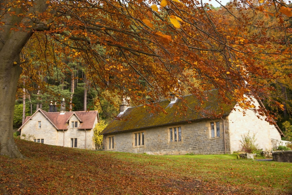 Posterazzi Houses With Trees In Autumn Colours Northumberland England Canvas Art - John Short Design Pics (38 x 24)