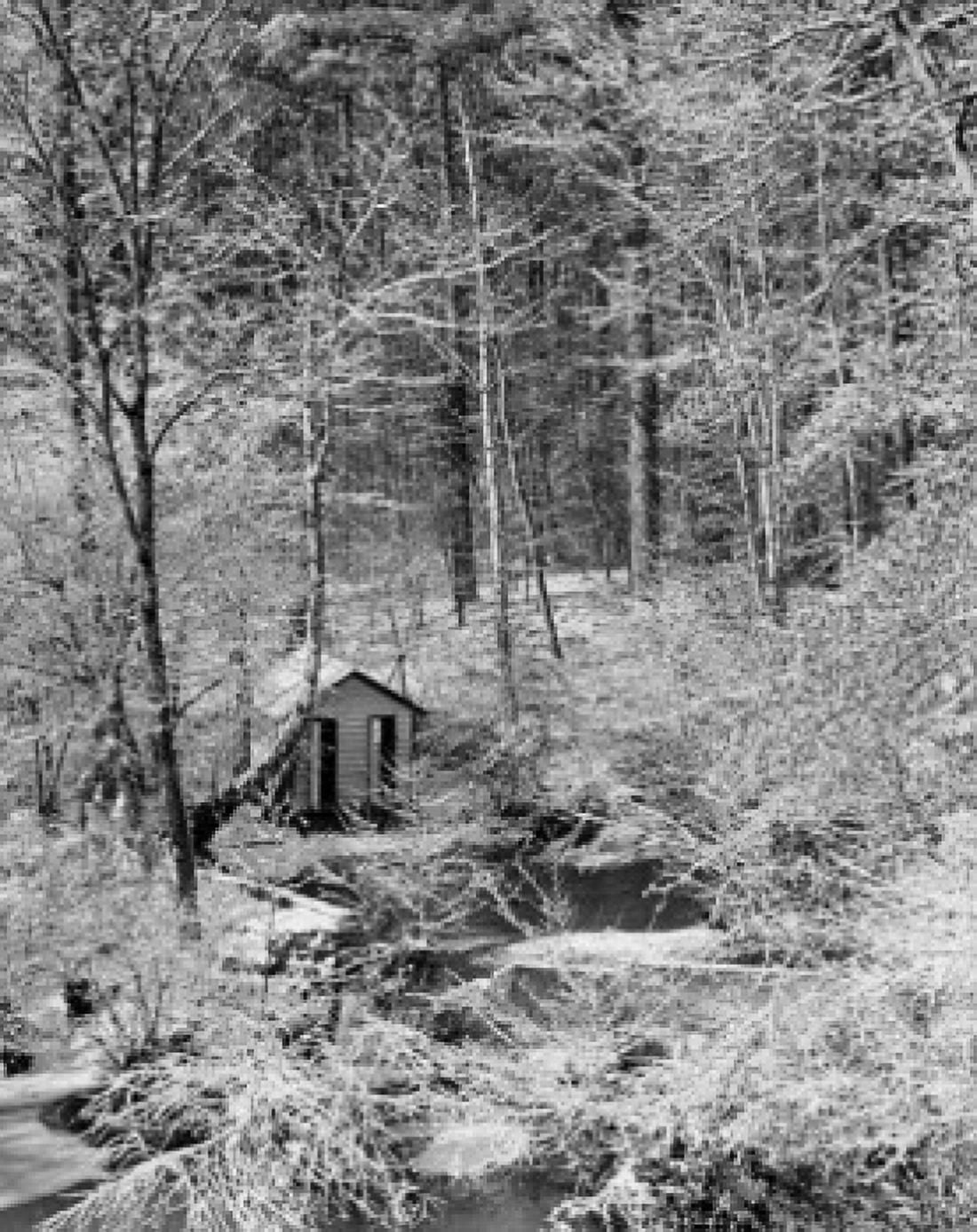 Posterazzi Hut in a forest Canvas Art - (24 x 36)