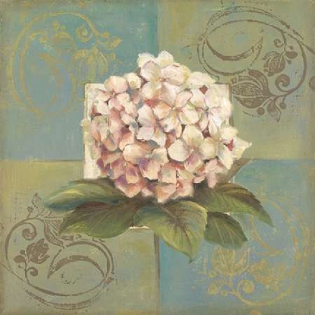 Posterazzi Hydrangeas on Green II Canvas Art - Patricia Pinto (24 x 24)