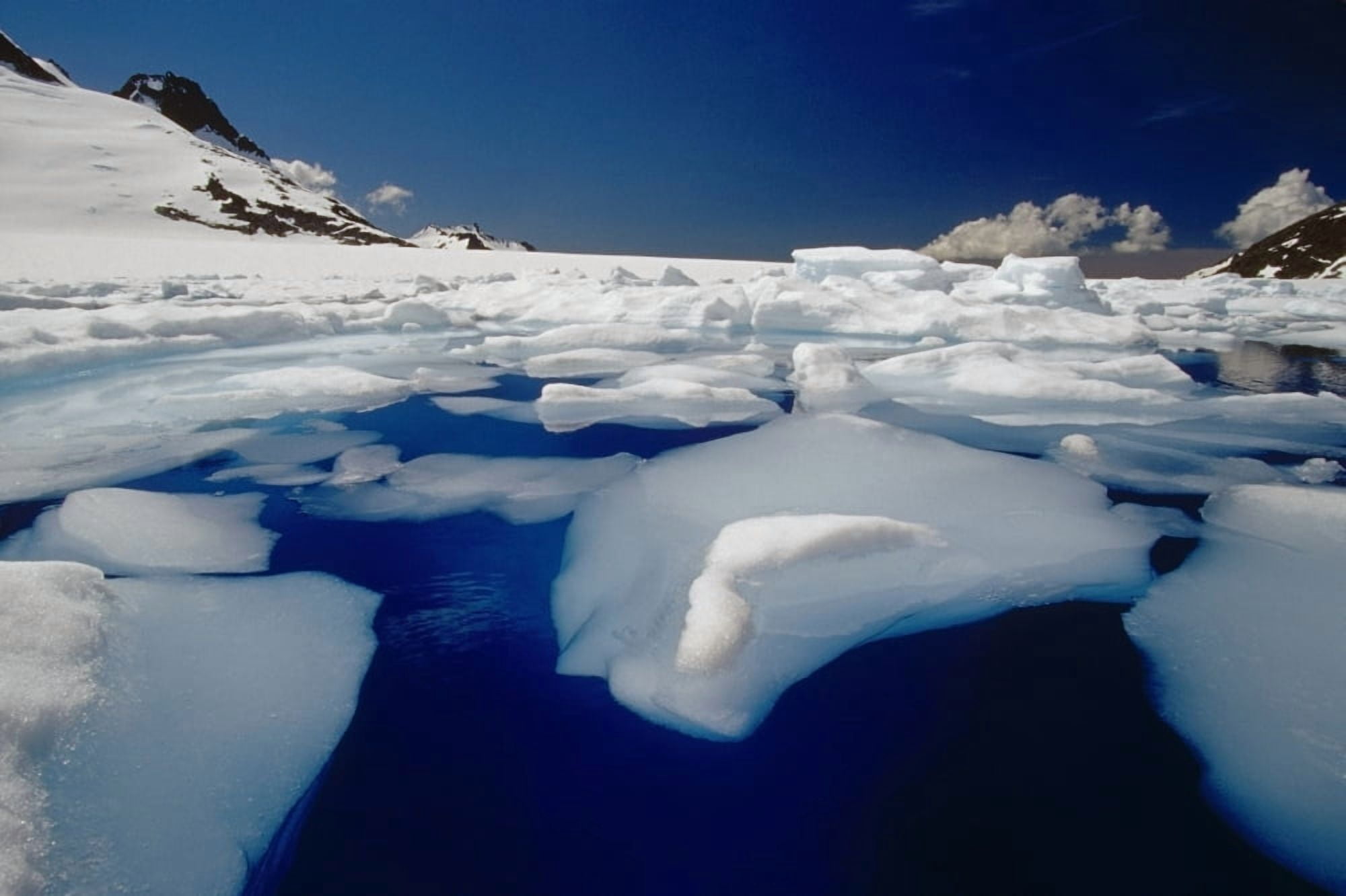 Posterazzi Icebergs In Melt Pond On Mendenhall Glacier Southeast Alaska Summer Canvas Art - John Hyde  Design Pics (34 x 22)