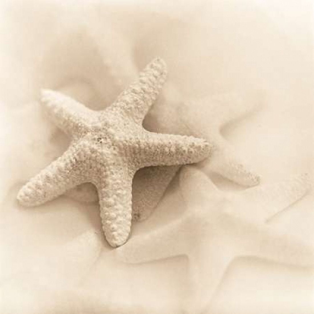 Posterazzi Il Oceano No 1 Canvas Art - Alan Blaustein (24 x 24)