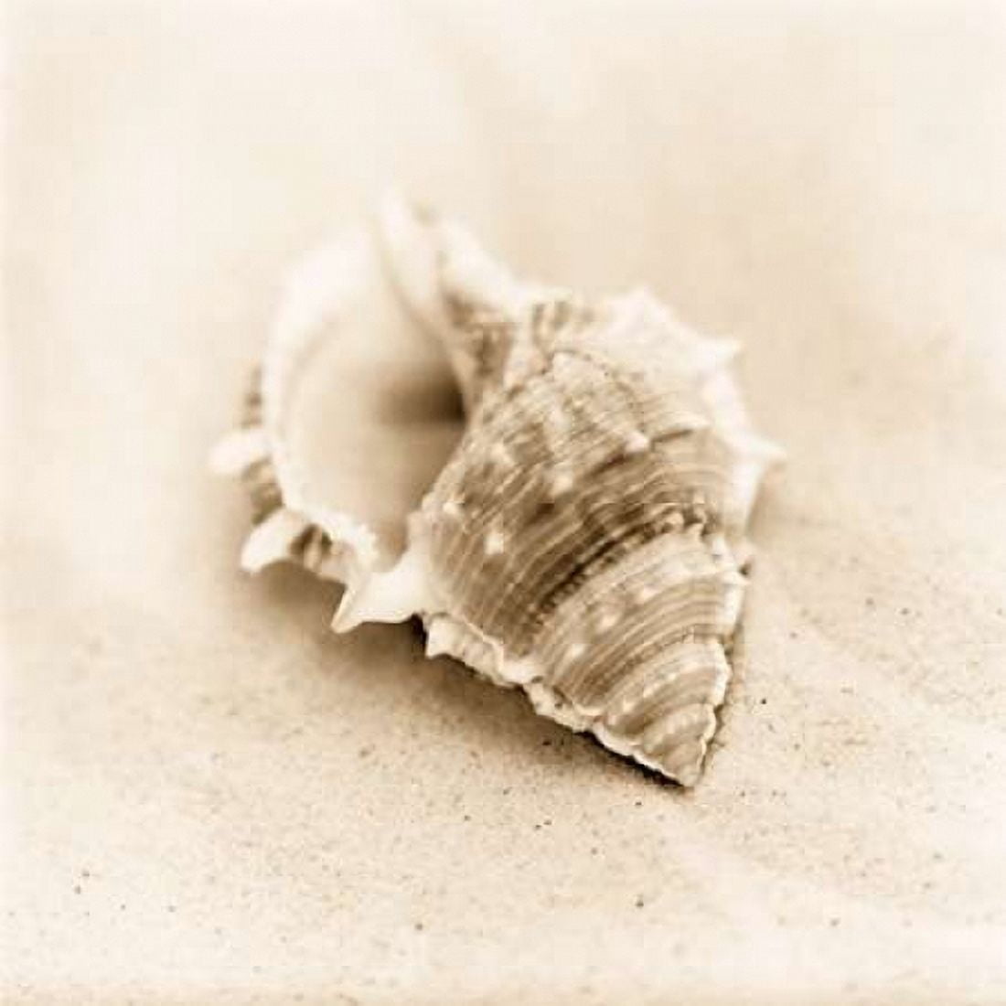 Posterazzi Il Oceano No 3 Canvas Art - Alan Blaustein (24 x 24)