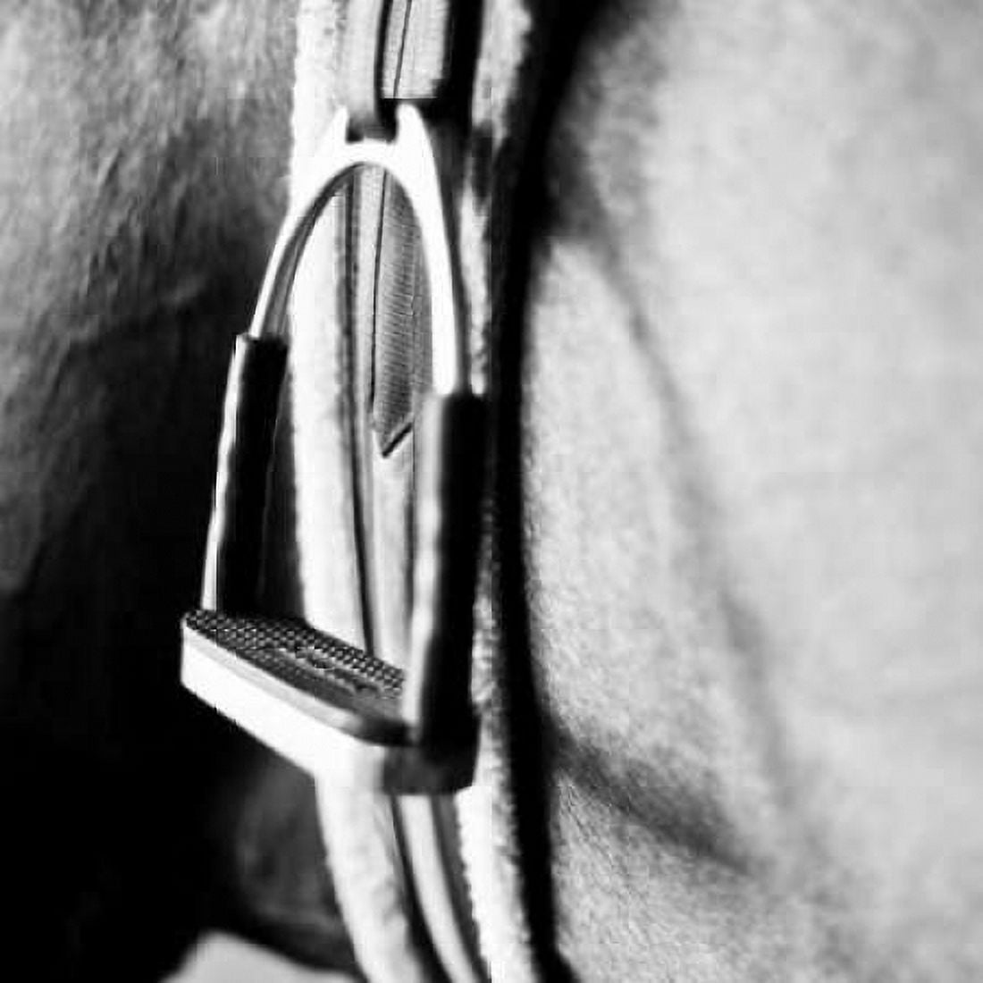 Posterazzi In the Stable II Canvas Art - Susan Bryant (24 x 24)