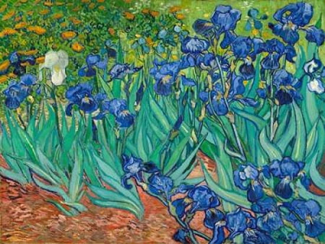 Posterazzi Irises Canvas Art - Vincent Van Gogh (22 x 28)